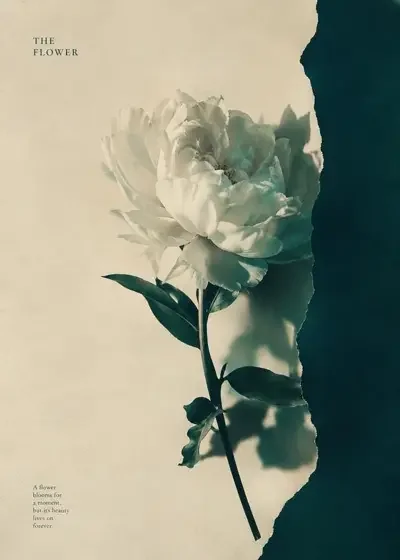 《蚀爱之后》短剧封面